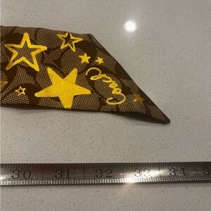 Coach Brown Scarf twilly